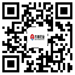 齐都药业网站二维码.jpg