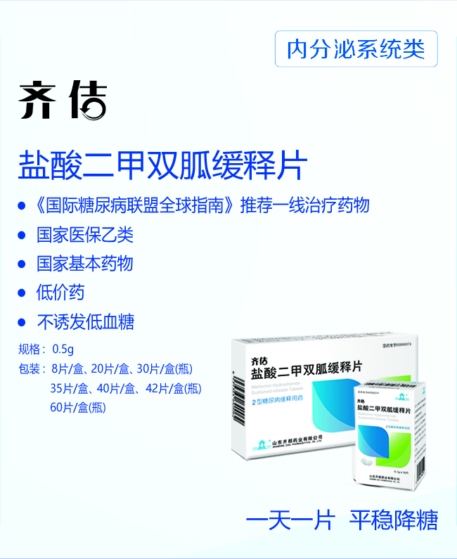 11-齐佶.jpg