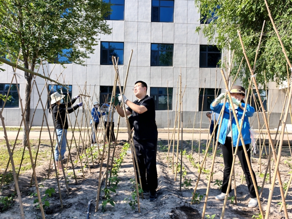 2.物流园绿植养护（刘俊）.jpg